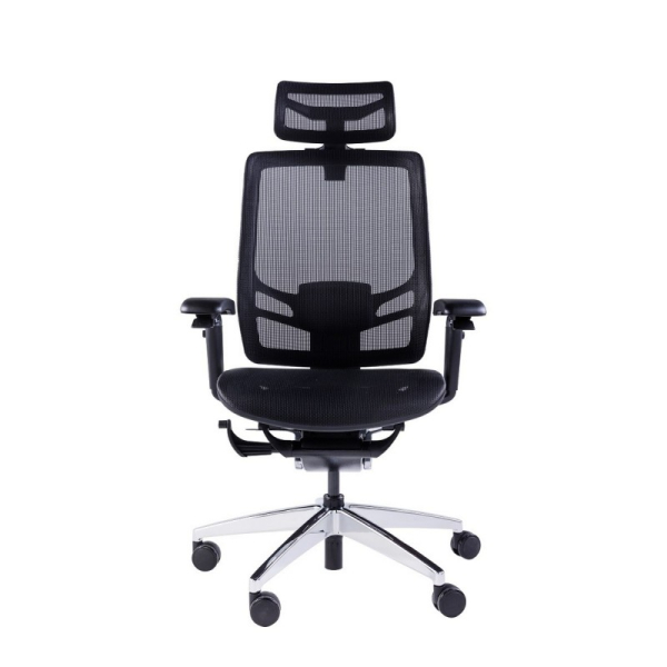 Купить GT Chair InFlex X-2.jpg